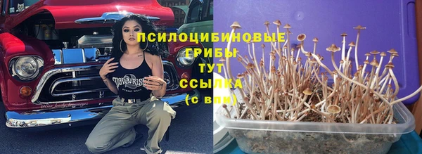 МДПВ Арсеньев