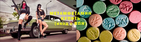 шишки Ельня